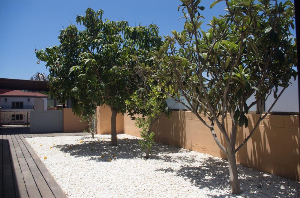 Villa La Marosca - Jacuzzi, Private Pool, 3 Bedrooms Caleta De Fuste Ngoại thất bức ảnh